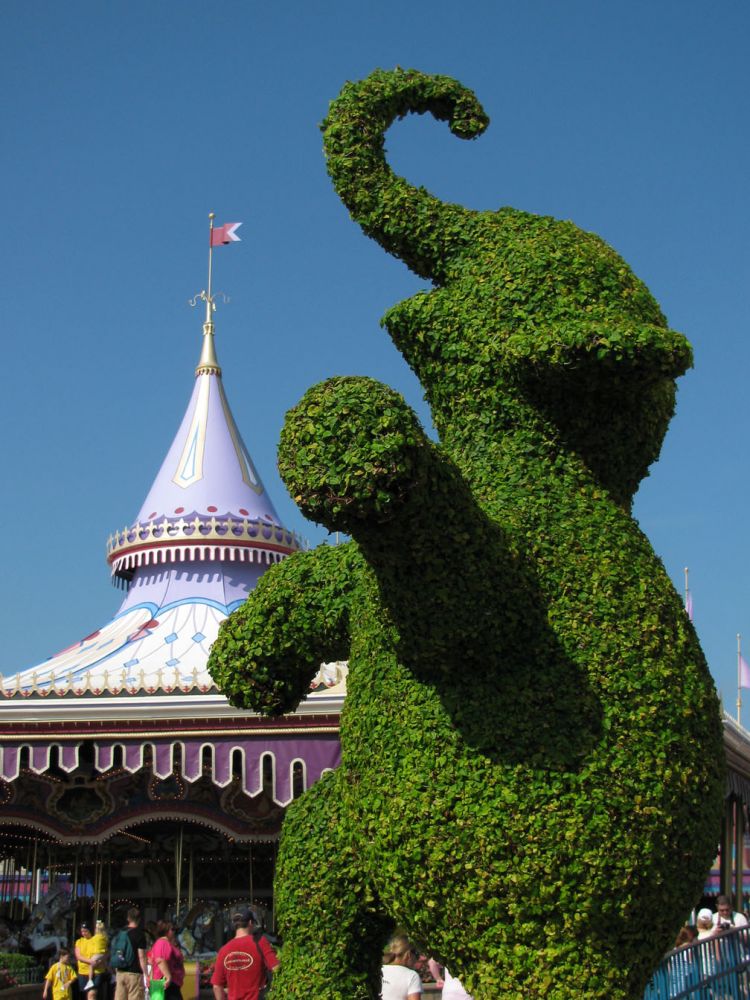 9-10_WDW_70