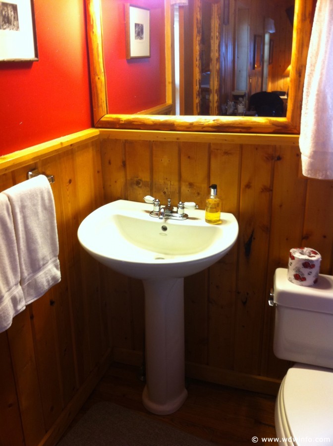 9-Brooks-Lake-Lodge-Cabin-011