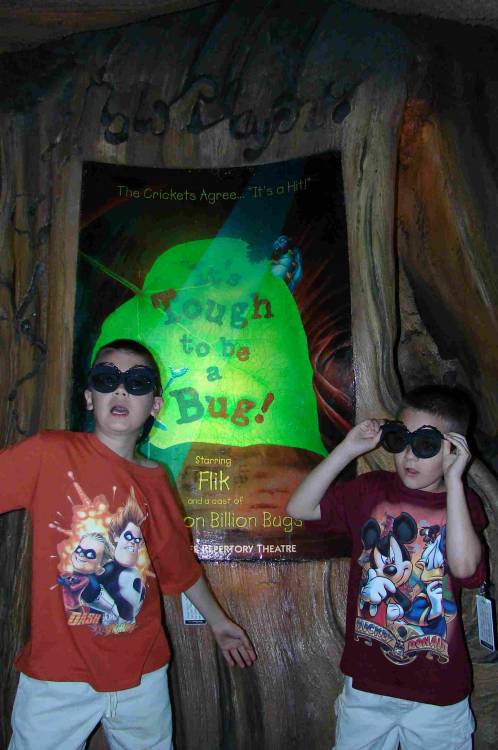 a bugs life