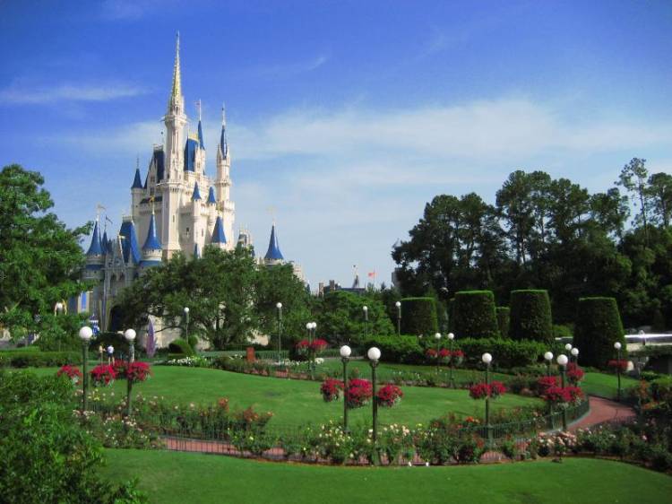 A Magical Back Yard