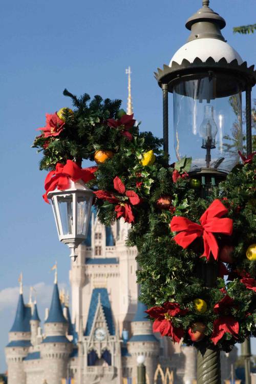 A Magical Christmas