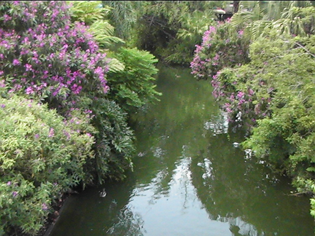 a peaceful spot