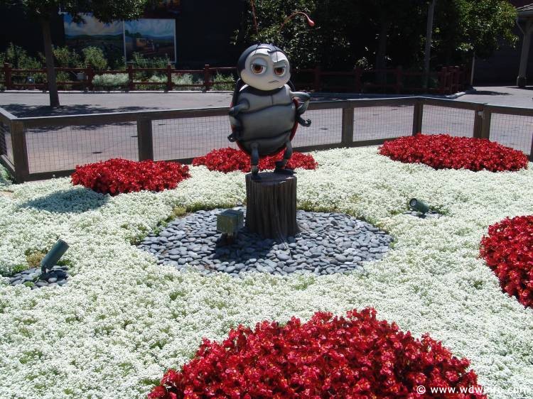 a_bugs_land_15