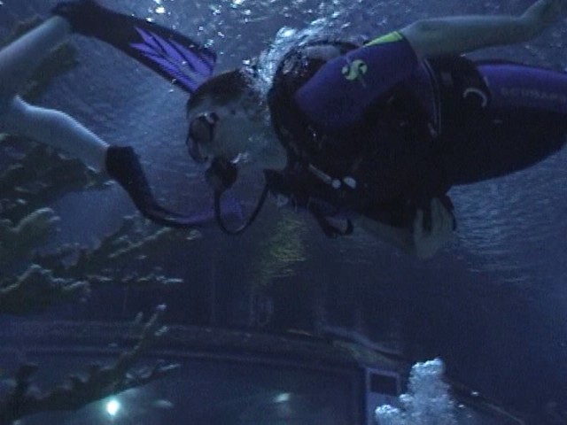 A_diving