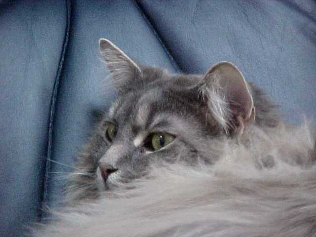 Abby1