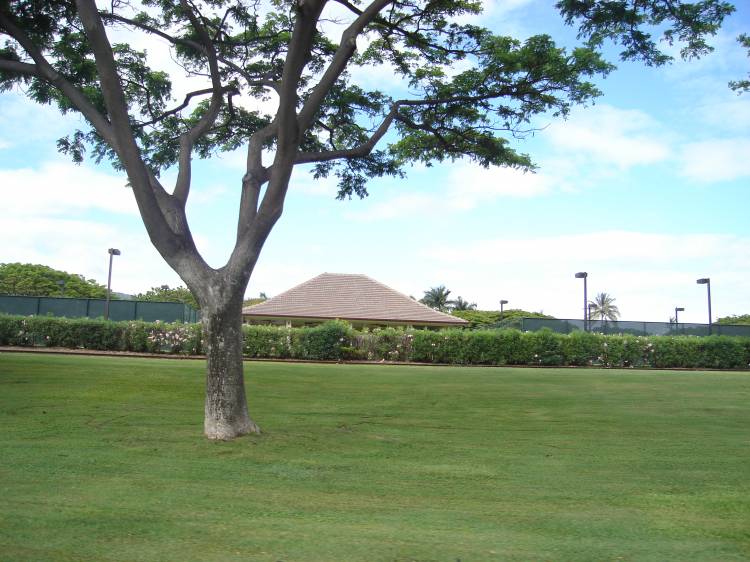 Across the street from Disney Ko'olina site