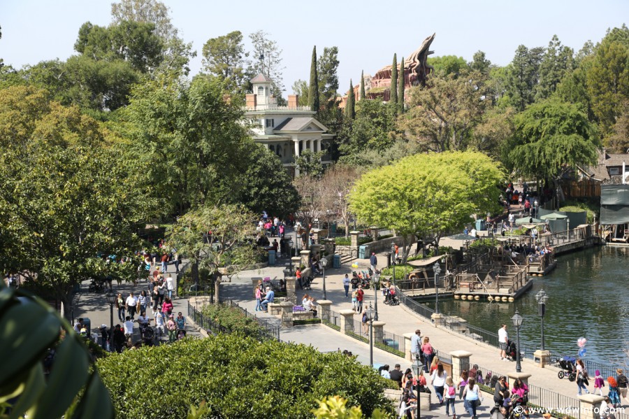 Tarzan Treehouse photo