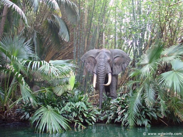 Adventureland_-_Jungle_Cruise_06