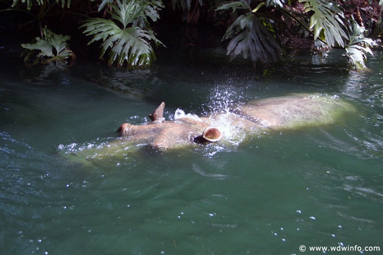 Adventureland_-_Jungle_Cruise_12