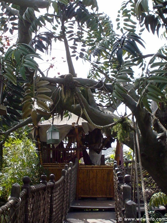 Adventureland_-_Tarzan_Treehouse_03