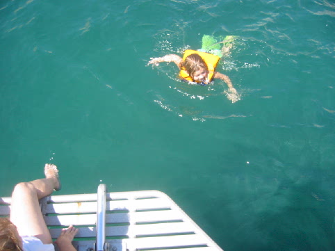 Adventures with sealions
