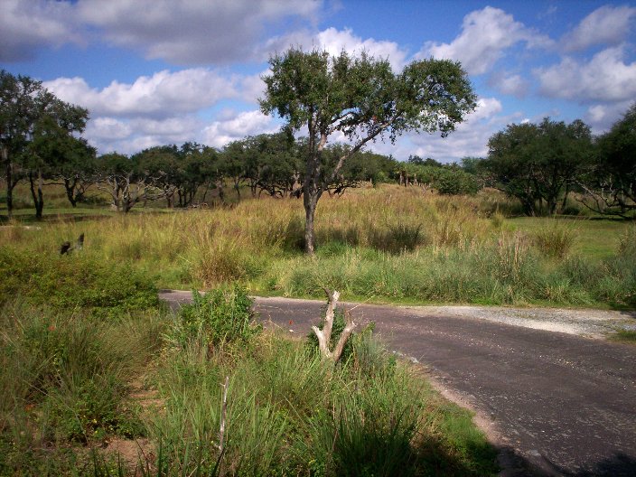 Africa
