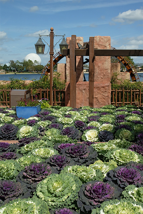 Ag display near Morocco