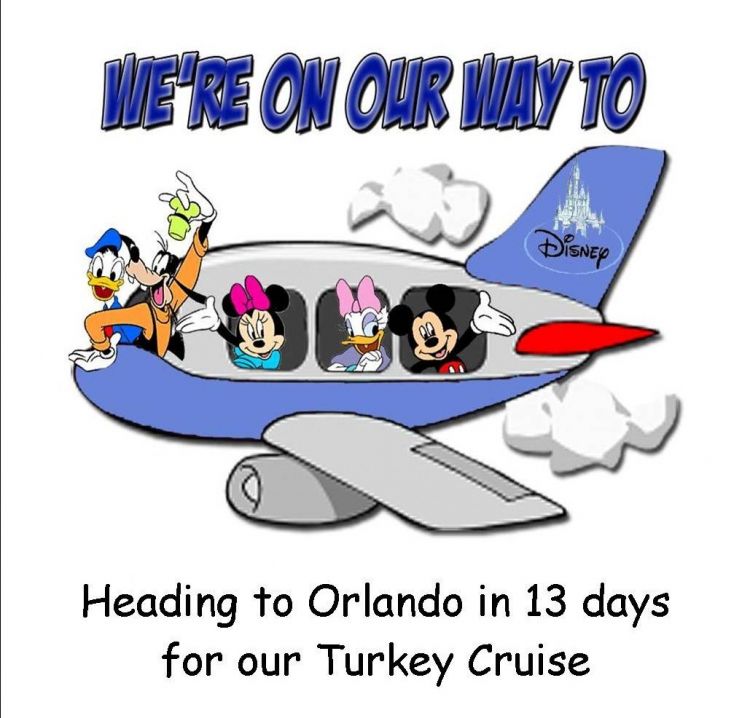 Airplaneturkey