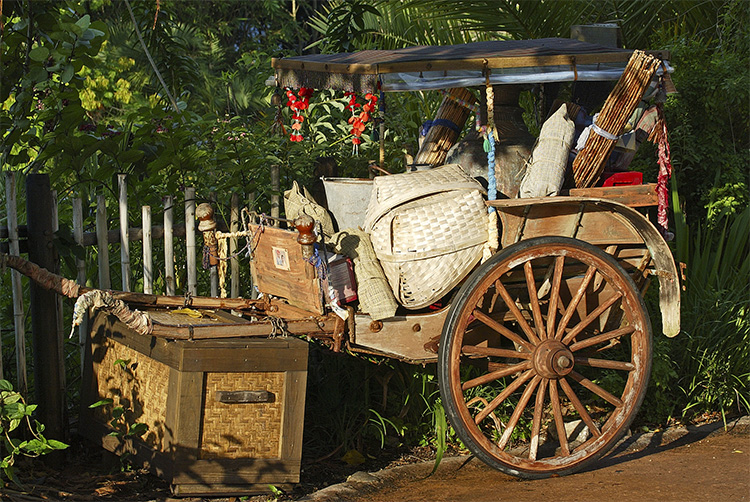 AK rickshaw