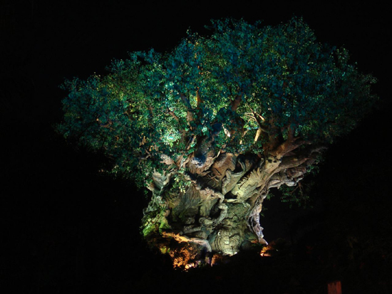 AK Tree of Life Nite