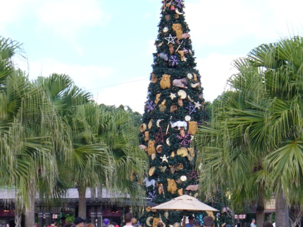 Ak Tree