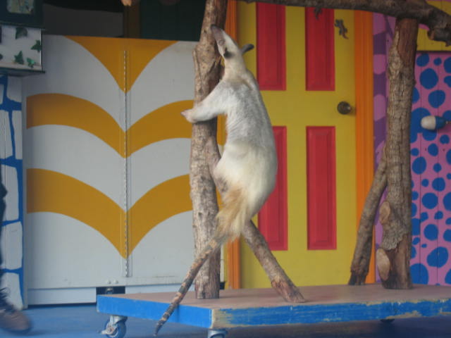 AK