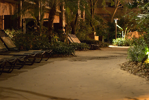 AKL at night