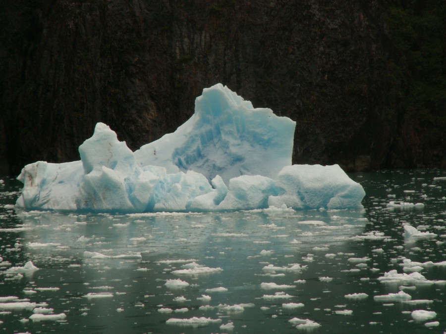 Alaska - Tracy Arm