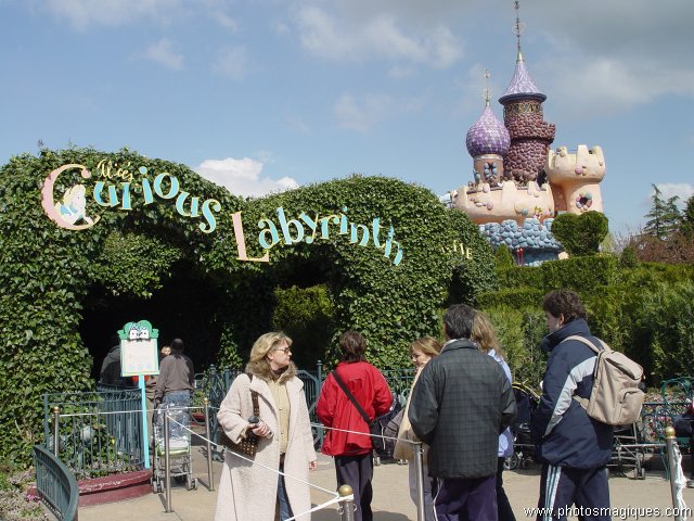 Alice's Curious Labyrint