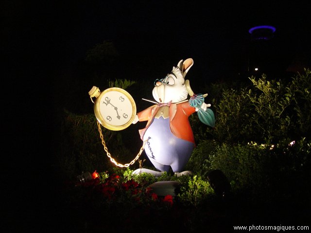 Alice's Curious Labyrint
