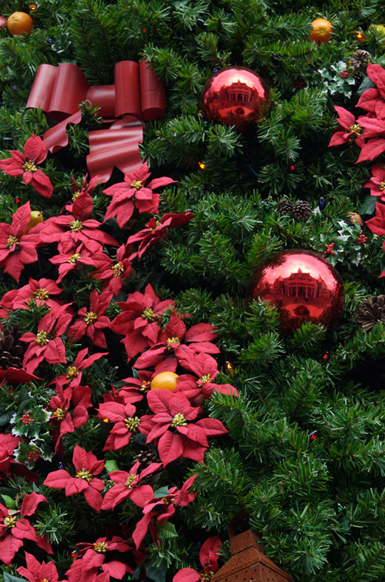 American Christmas