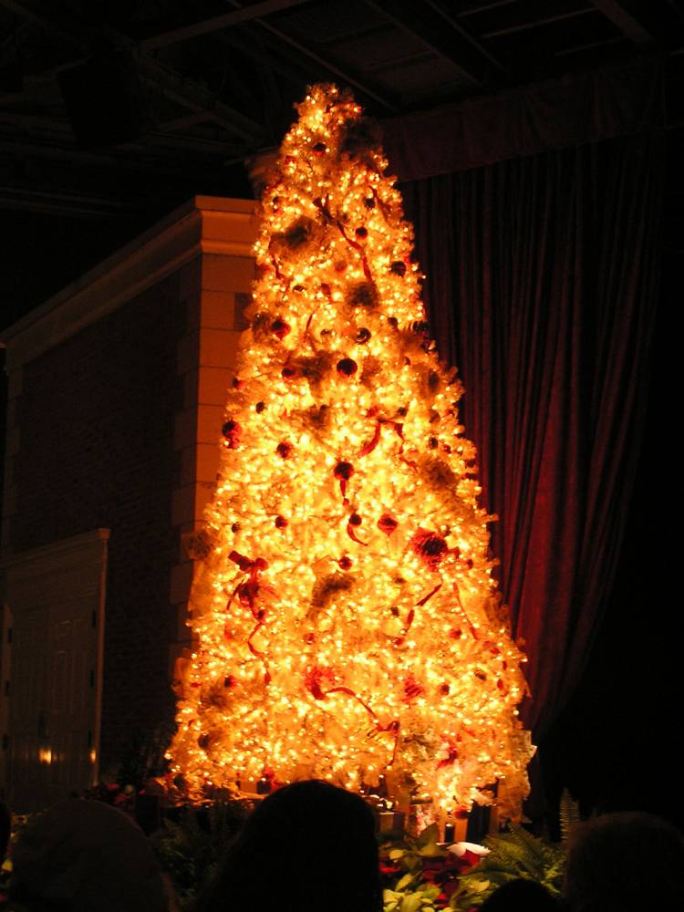 American Theater Christmas Tree