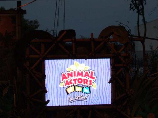 Animal Actors on Location