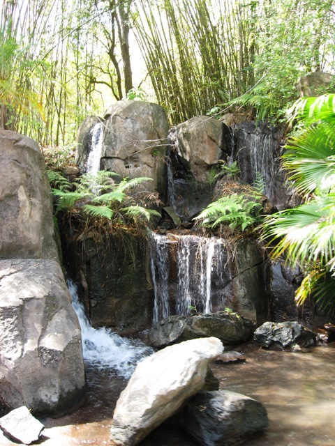 Animal Kingdom 3-09