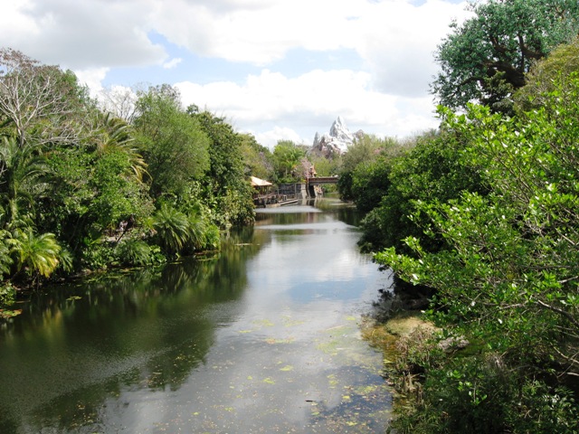 Animal Kingdom 3-09