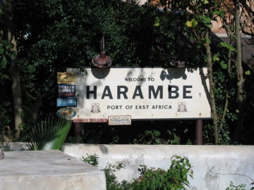 Animal Kingdom-Africa