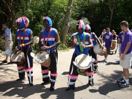 Animal Kingdom Drummers