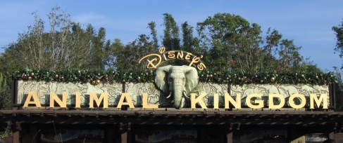 Animal Kingdom entrance