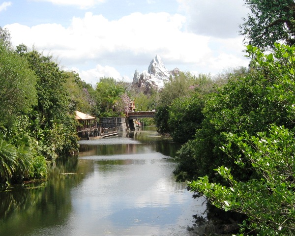 Animal Kingdom Everest 3-2009
