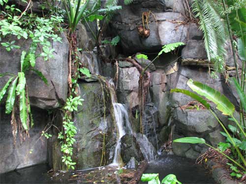 Animal Kingdom Lil' Waterfall