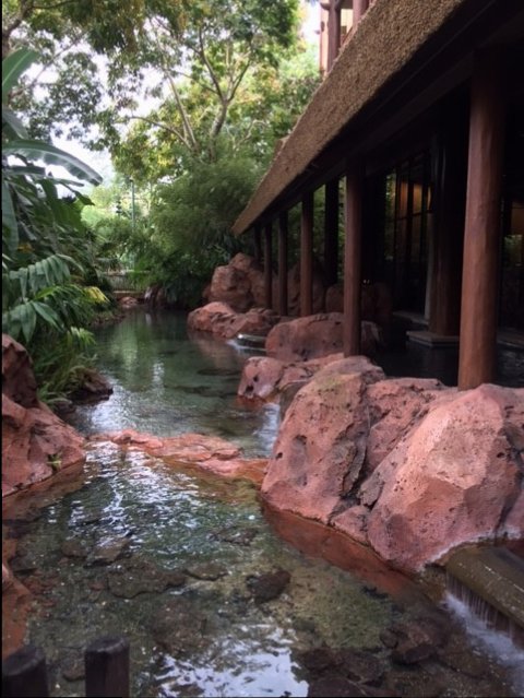Animal Kingdom Lodge 6 2017