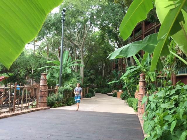 Animal Kingdom Lodge 8 2017