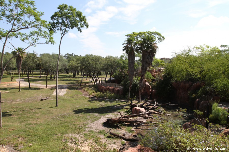 Animal-Kingdom-Lodge-Room-017