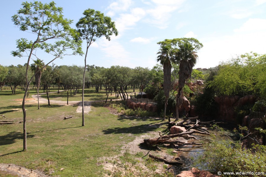 Animal-Kingdom-Lodge-Room-019