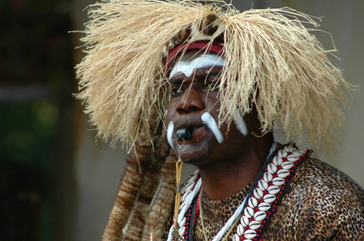 Animal KIngdom Man