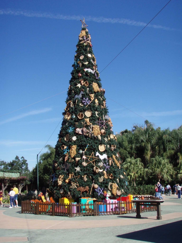 Animal Kingdom Tree