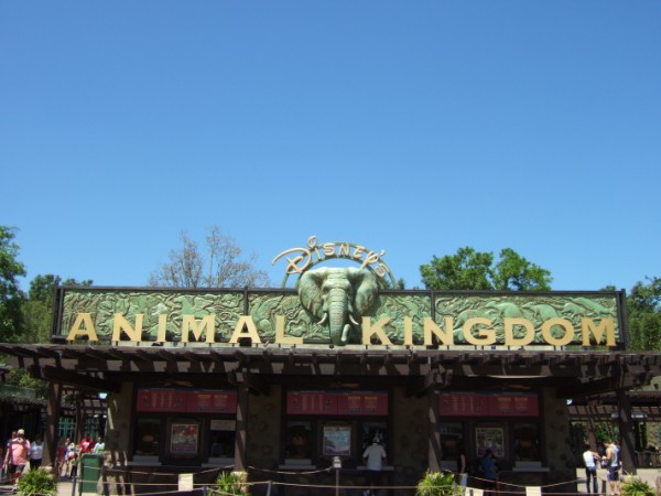 Animal Kingdom