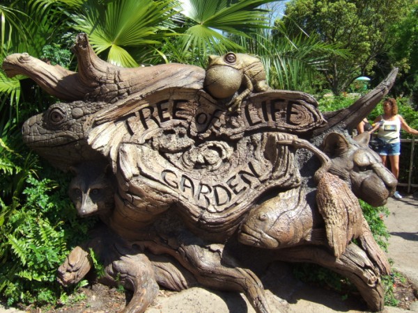 Animal Kingdom