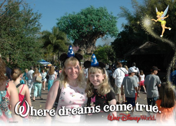 Animal Kingdom