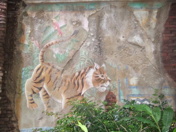 Animal Kingdom