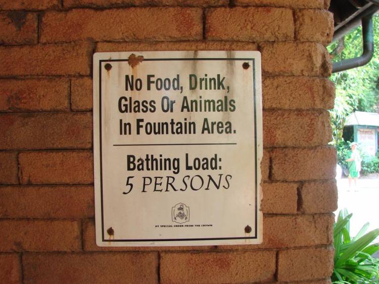 Animal Kingdom