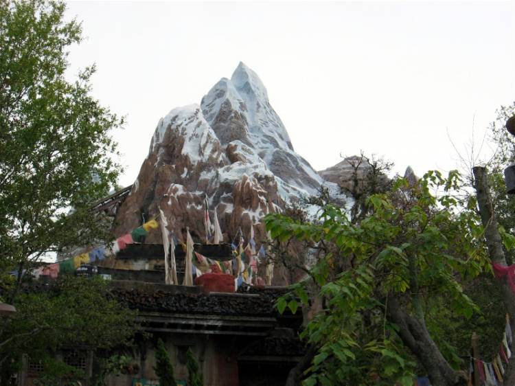 Animal Kingdom