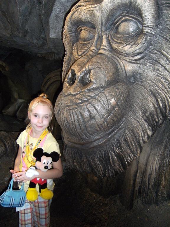Animal Kingdom