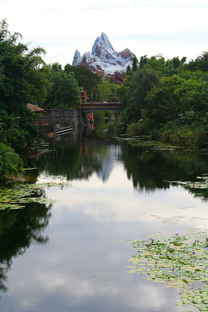 Animal Kingdom